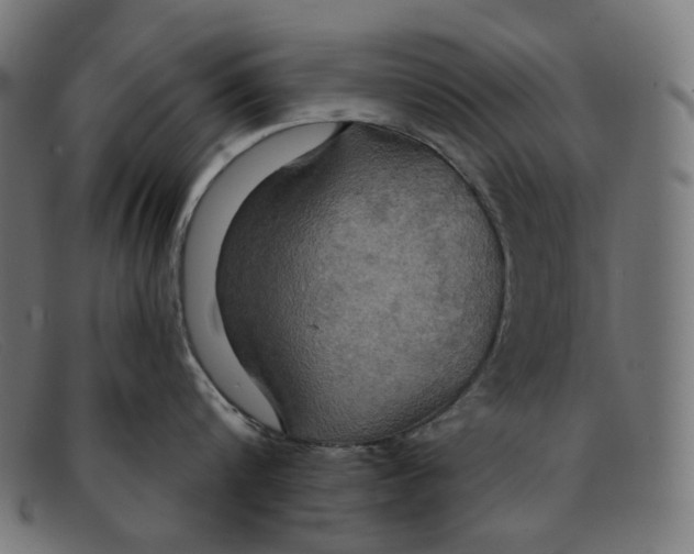X0000091460816200709131732