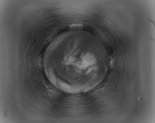 X0000091460819200709131732
