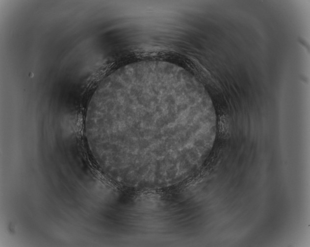 X0000091460820200709131732