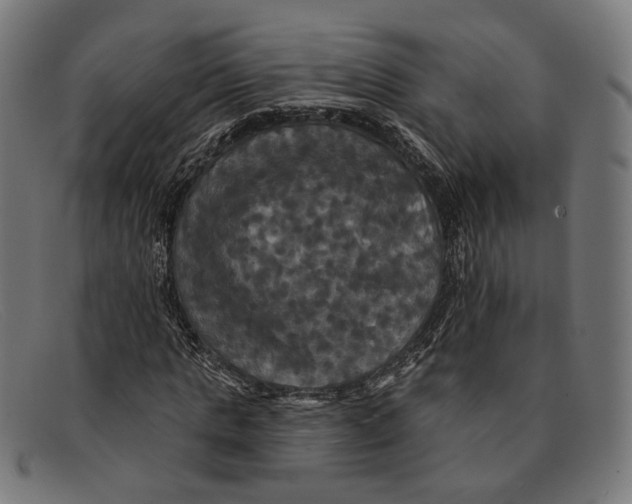 X0000091460821200709131732