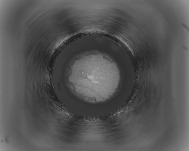 X0000091460823200709131732