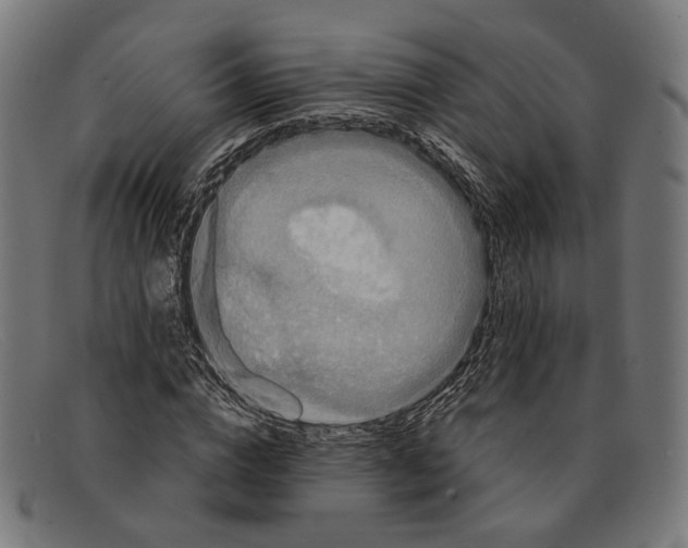 X0000091460824200709131732