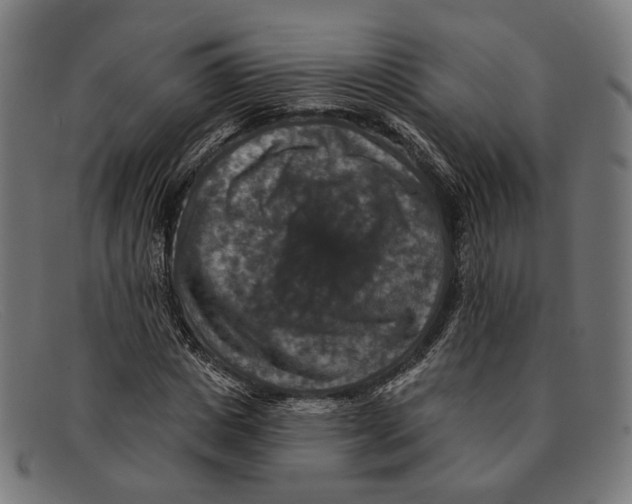 X0000091460825200709131732