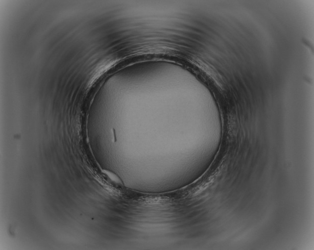 X0000091460826200709131732