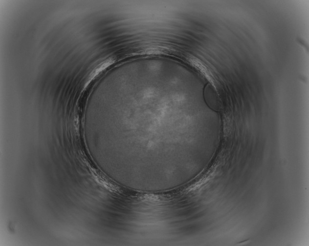 X0000091460827200709131732