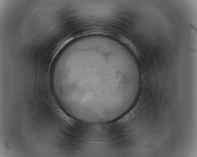 X0000091460828200709131732