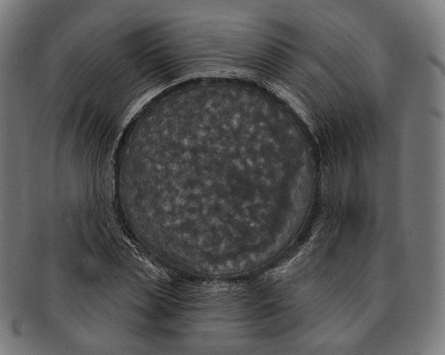 X0000091460829200709131732