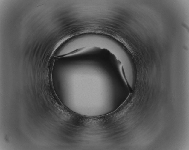 X0000091460830200709131732