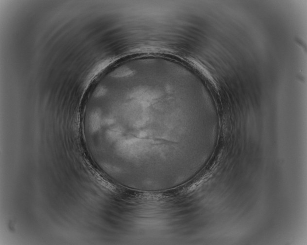 X0000091460831200709131732