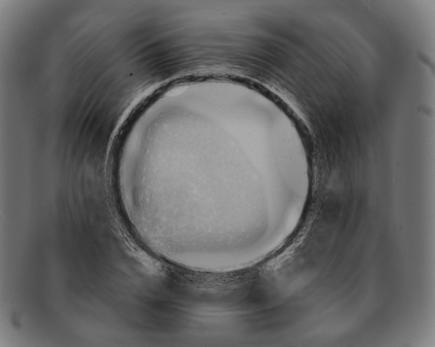X0000091460832200709131732