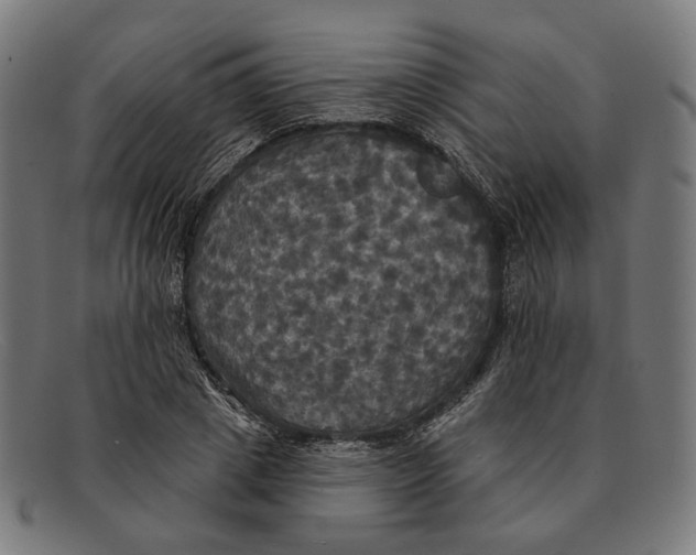 X0000091460833200709131732