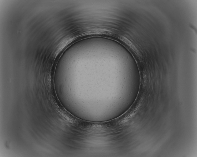 X0000091460834200709131732