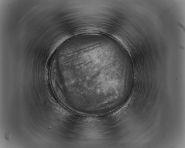 X0000091460835200709131732