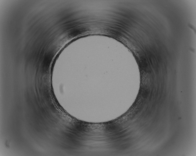 X0000091460836200709131732