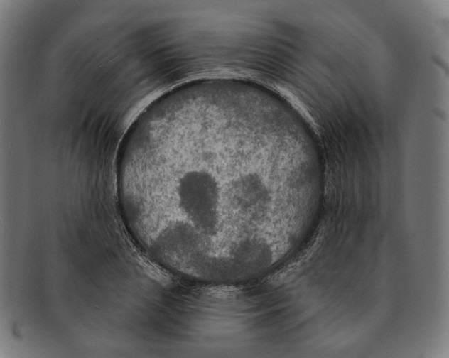 X0000091460837200709131732