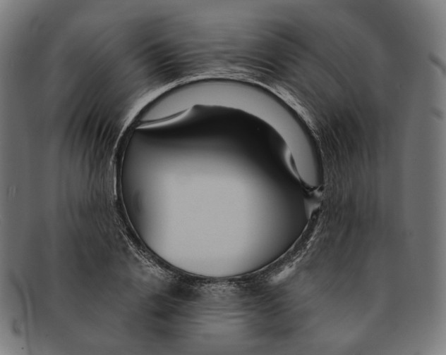 X0000091460838200709131732