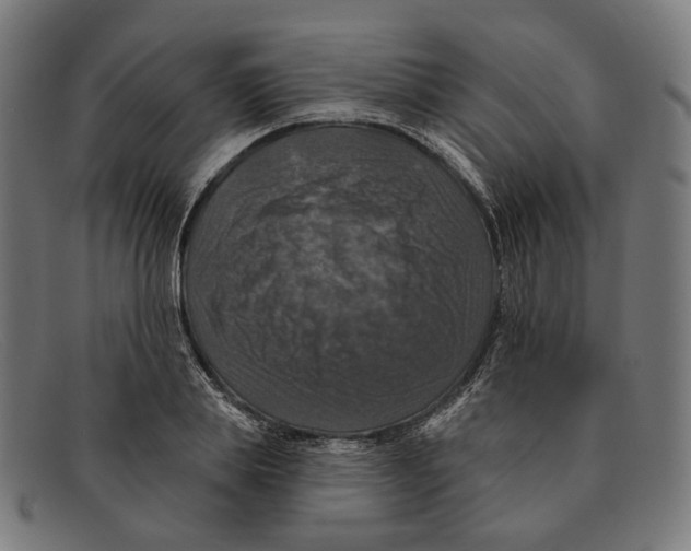 X0000091460839200709131732