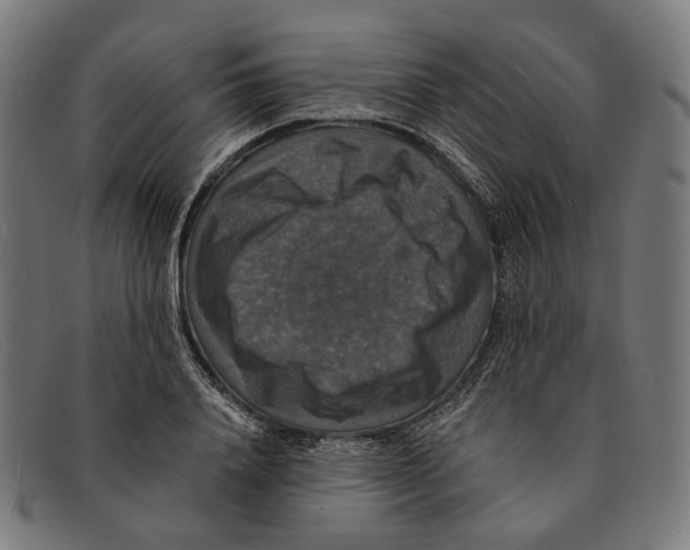 X0000091460840200709131732