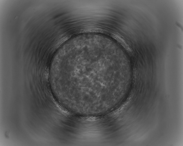 X0000091460841200709131732