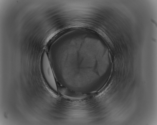 X0000091460842200709131732