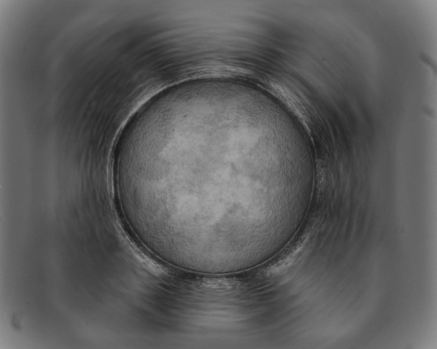 X0000091460843200709131732