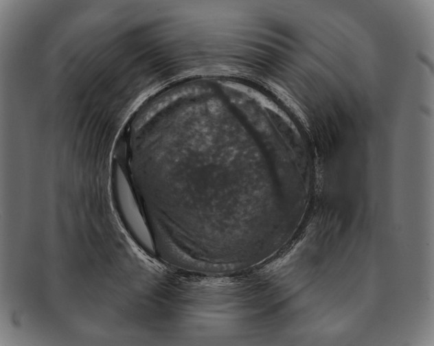 X0000091460845200709131732