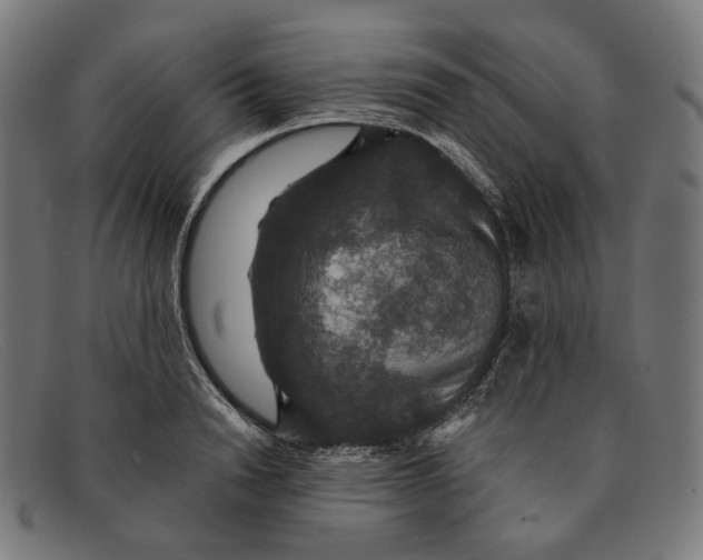 X0000091460846200709131732