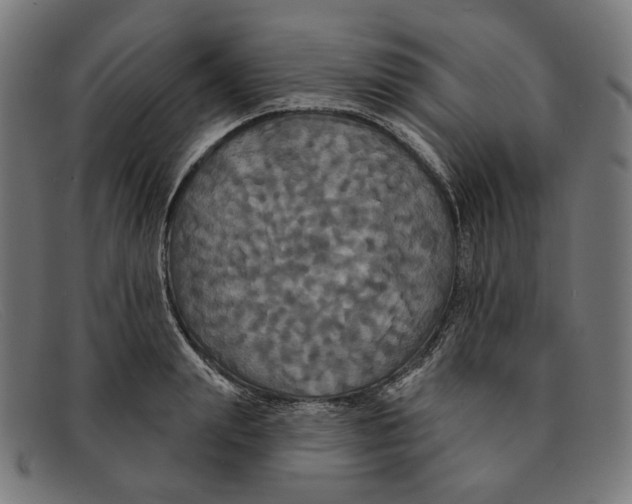 X0000091460847200709131732