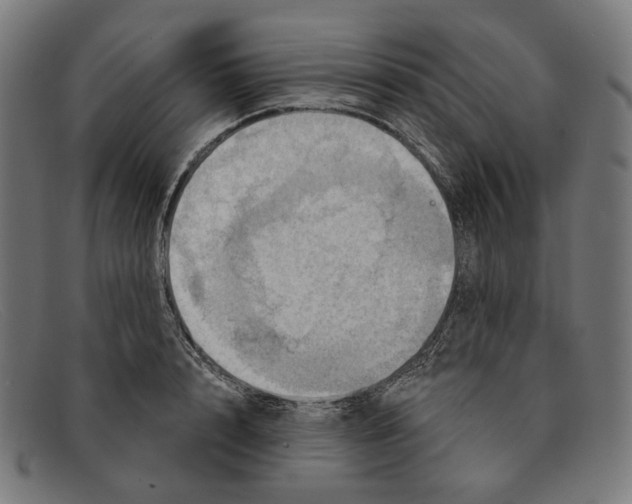 X0000091460848200709131732