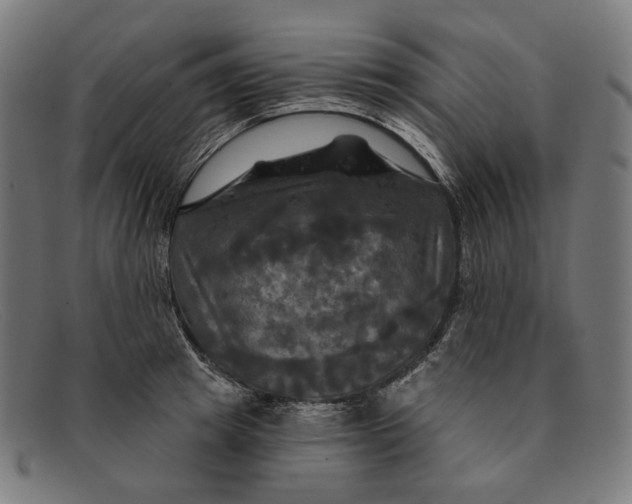 X0000091460849200709131732