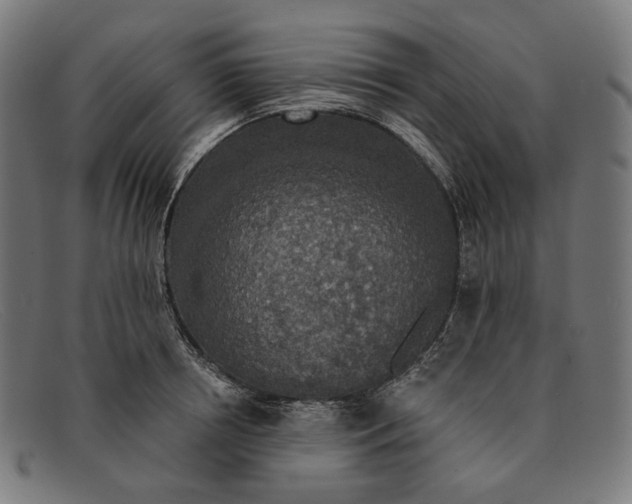 X0000091460850200709131732