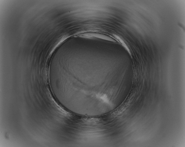 X0000091460851200709131732
