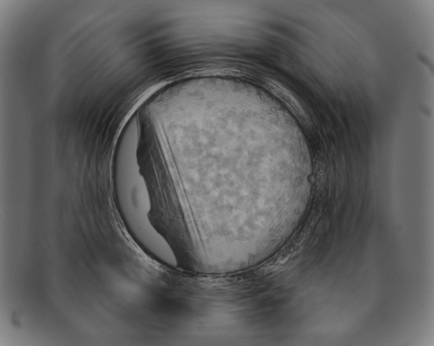 X0000091460852200709131732