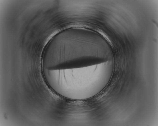 X0000091460853200709131732