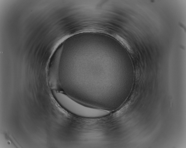 X0000091460854200709131732