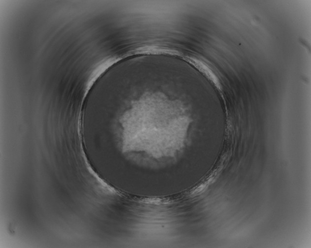 X0000091460855200709131732