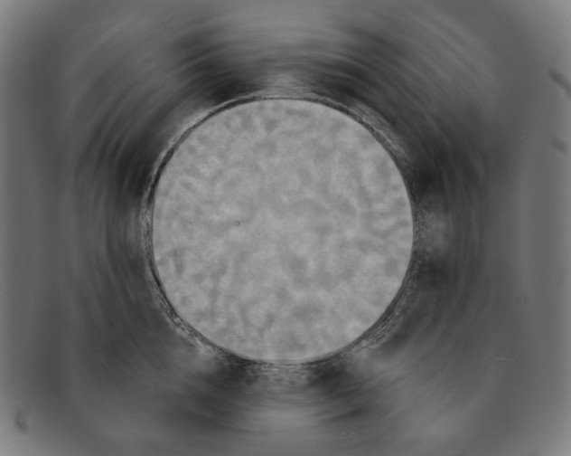X0000091460856200709131732