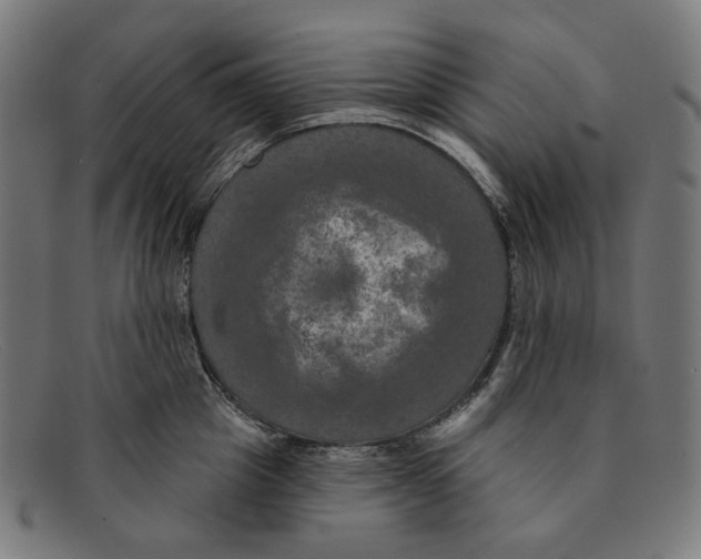 X0000091460857200709131732