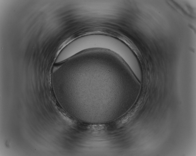 X0000091460858200709131732