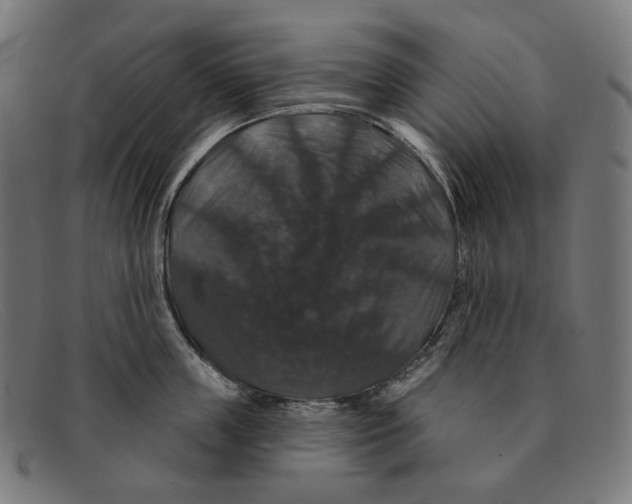 X0000091460859200709131732