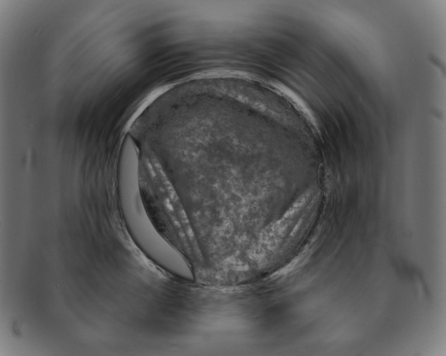X0000091460860200709131732