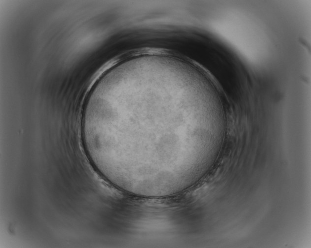X0000091460861200709131732