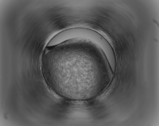 X0000091460862200709131732