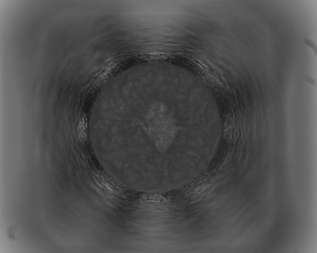 X0000091460866200709131732