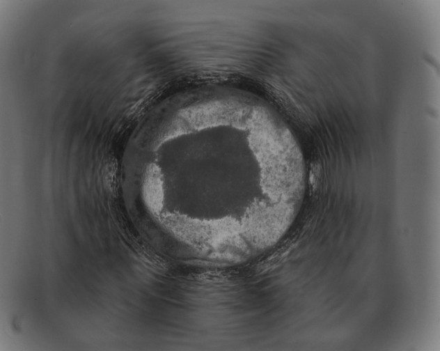 X0000091460867200709131732