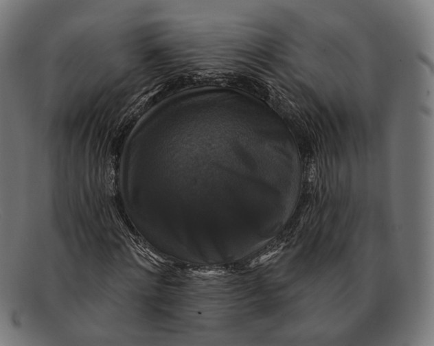 X0000091460868200709131732