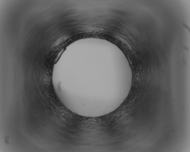 X0000091460869200709131732