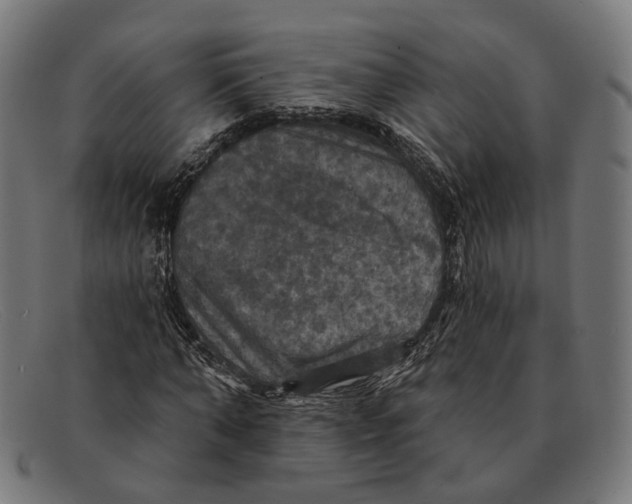X0000091460870200709131732