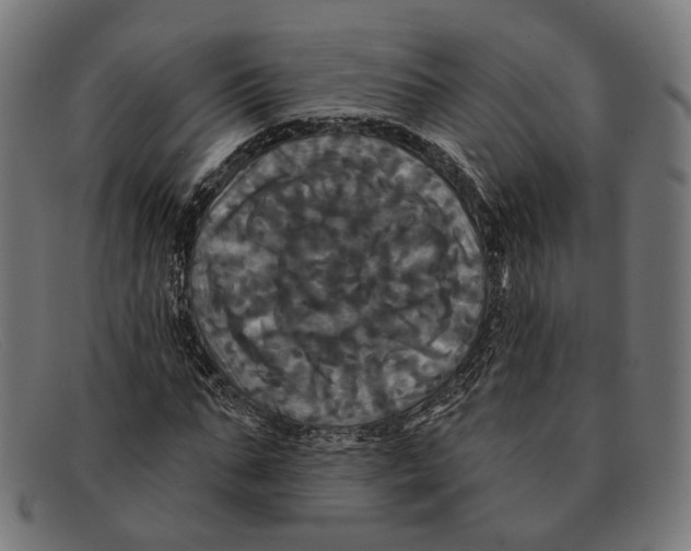 X0000091460871200709131732