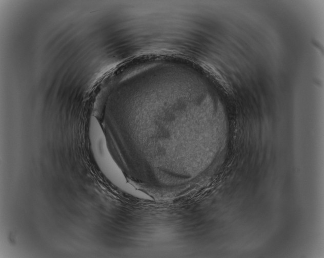 X0000091460872200709131732